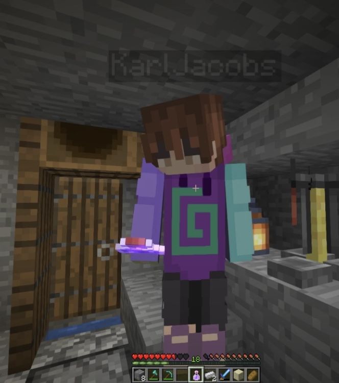 Featured image of post Karl Jacobs Minecraft Skin